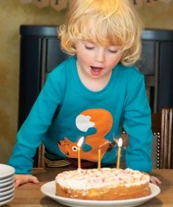 Frugi Blue Organic Cotton 3rd Birthday T-Shirt